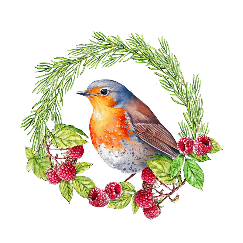 Robin