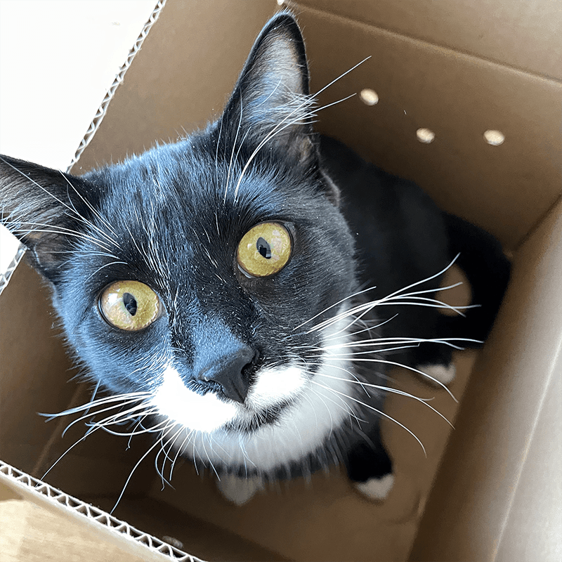 Schrödinger